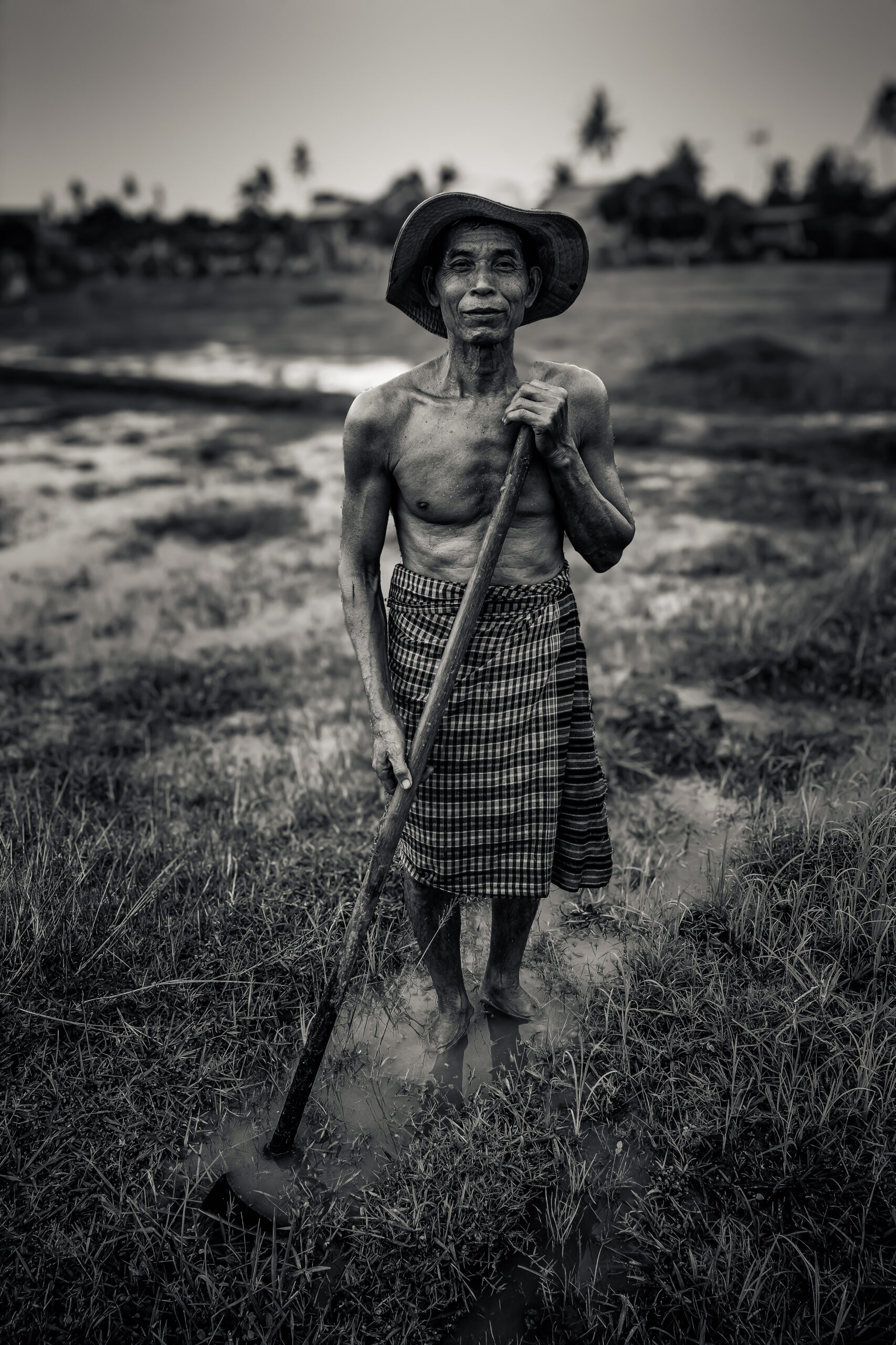Koh Trong Paddy Field