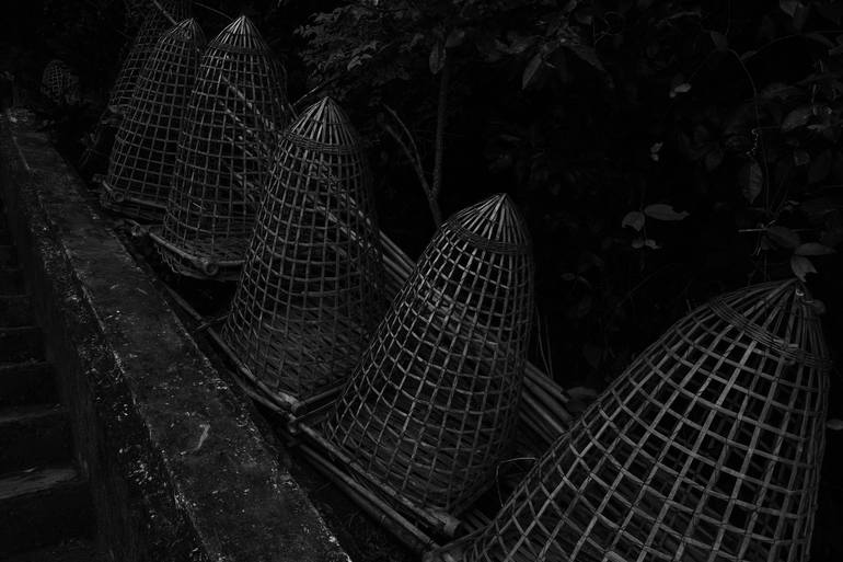 Fish Traps