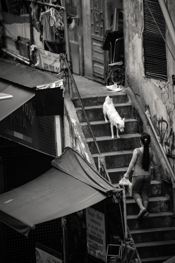 Ho Chi Minh Tenement