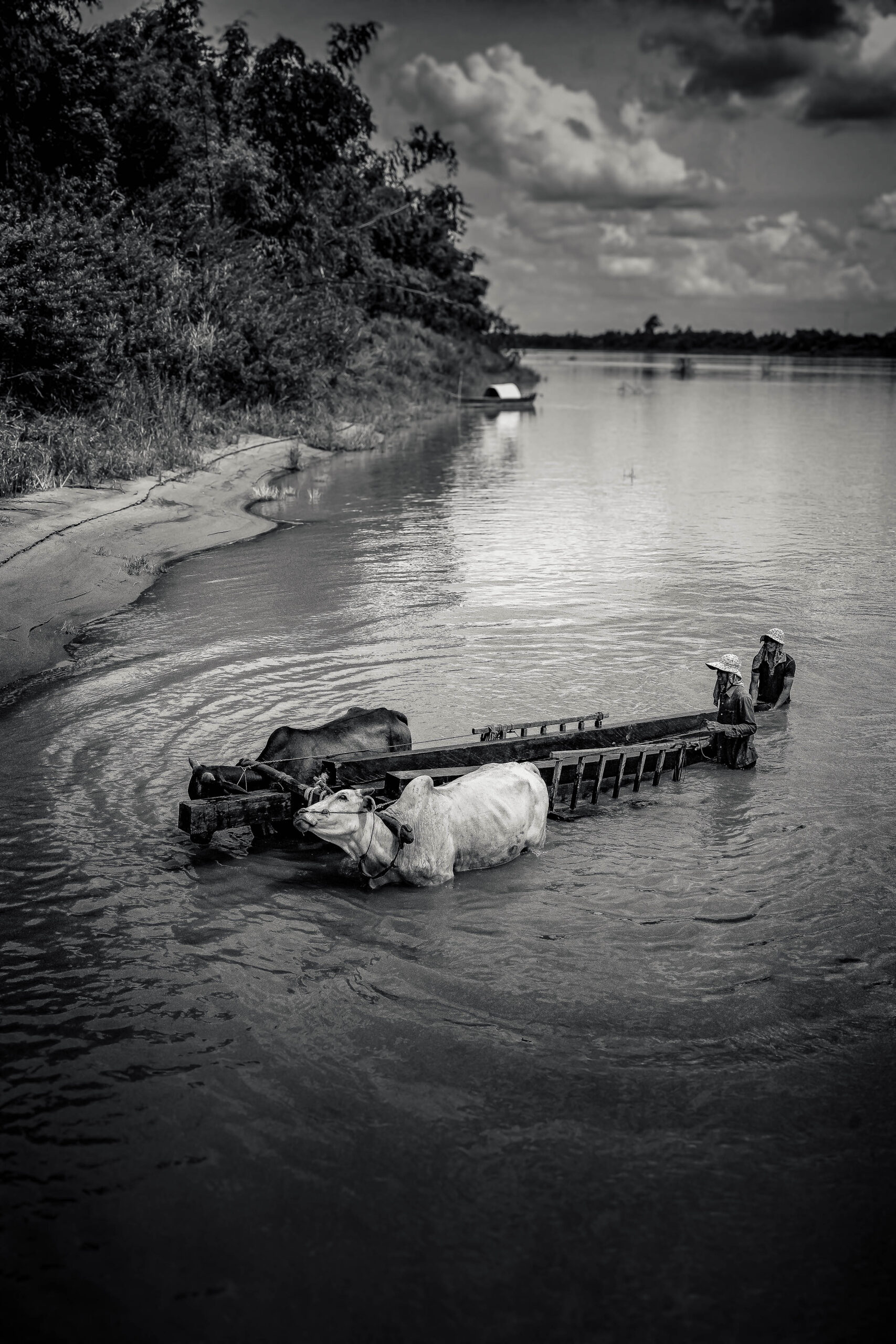 Teak Traders on the Mekong (Monochrome)