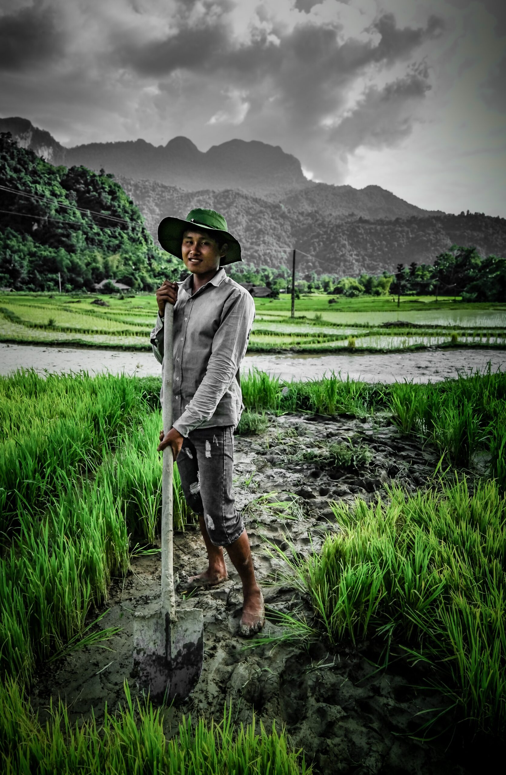 Du Gia Ha Giang Paddy Field