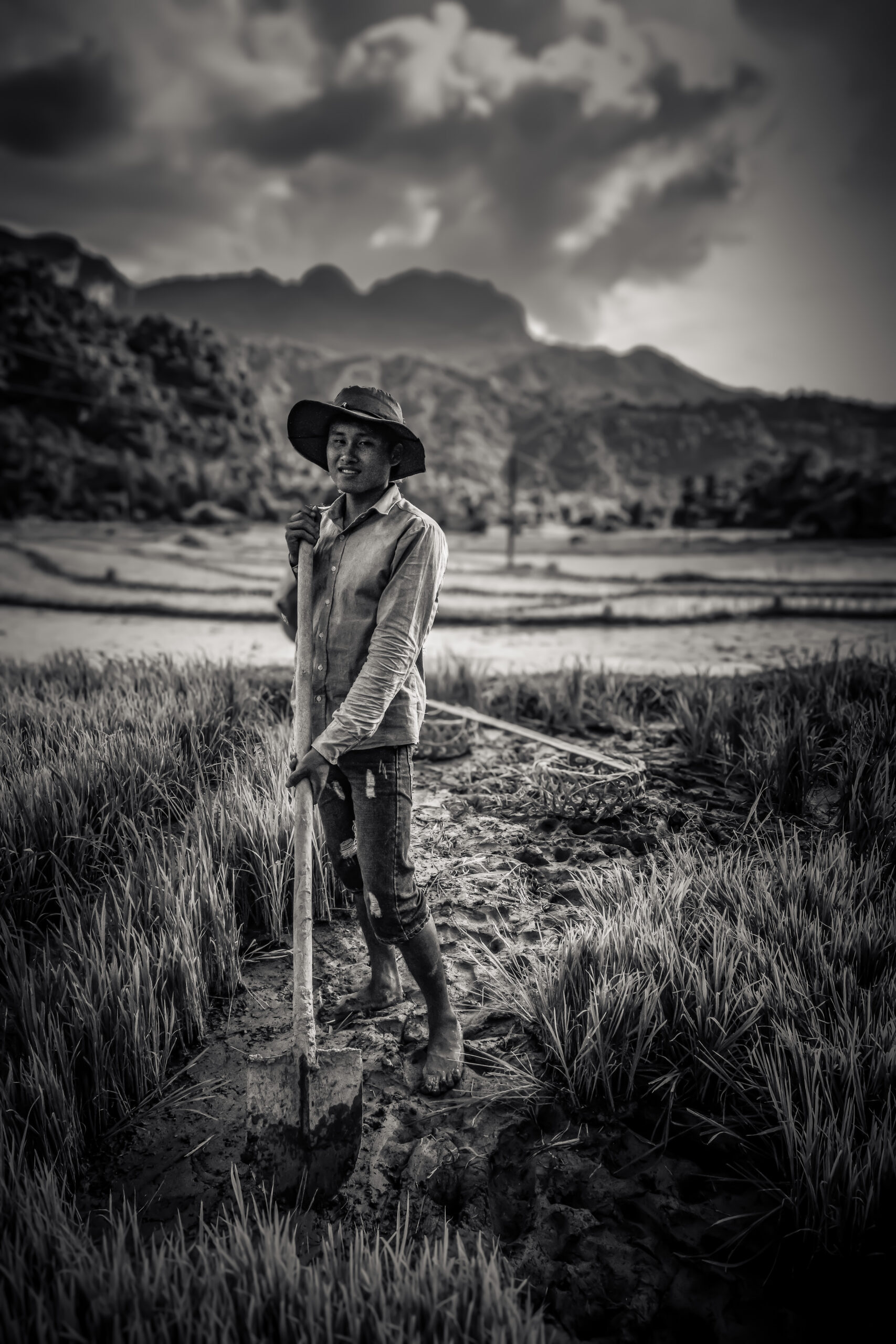 gu-gia-ha-giang-paddy-field-monochrome