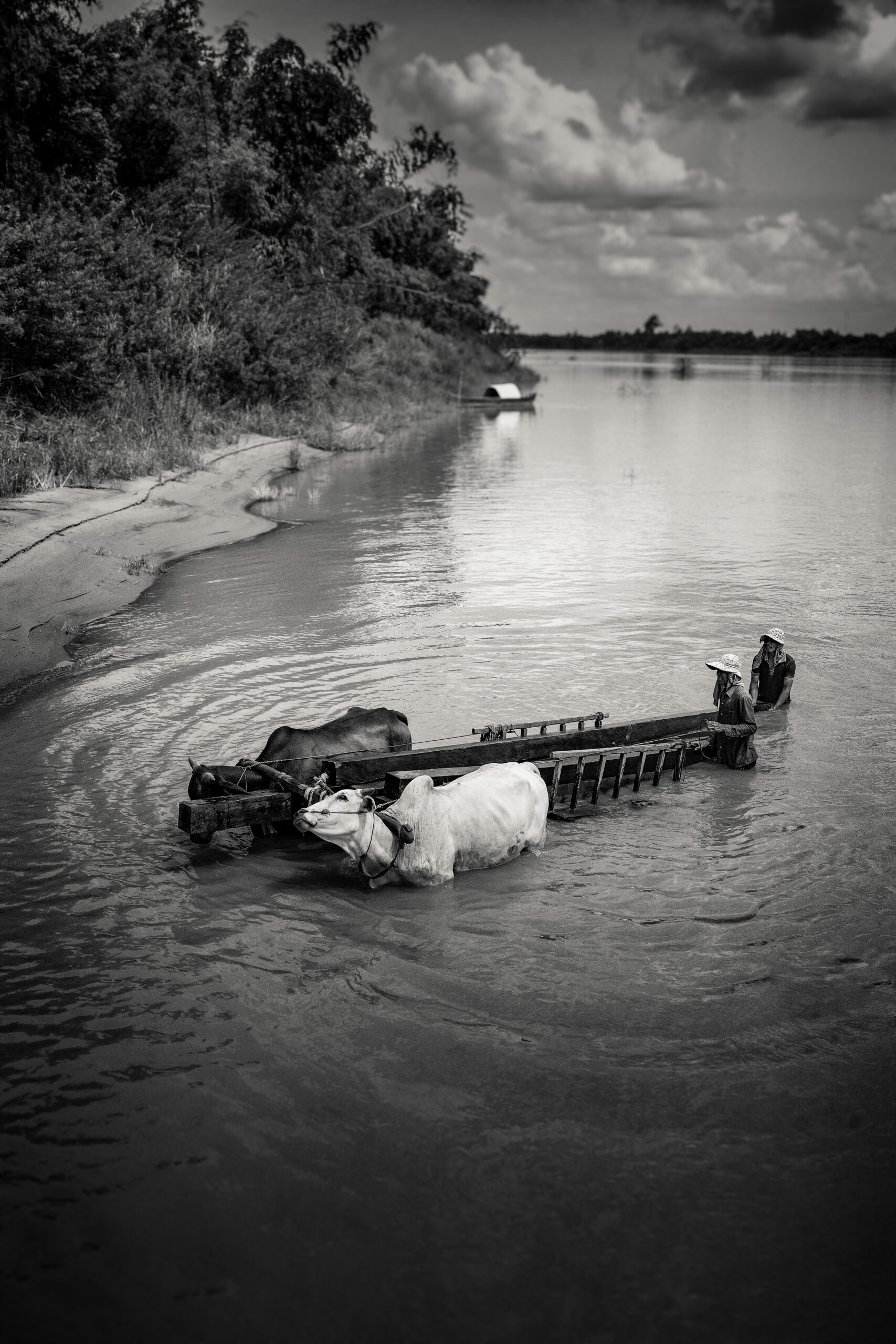 koh-trong-teak-traders-monochrome